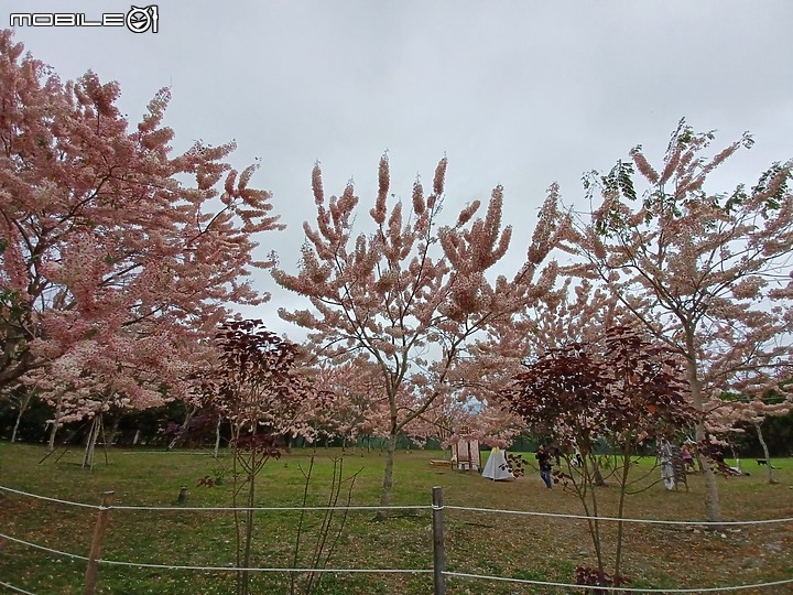 點我看大圖 【五股晉百 再創風采】-新北市五股國小創校百週年花東單車傳愛公益活動全記錄