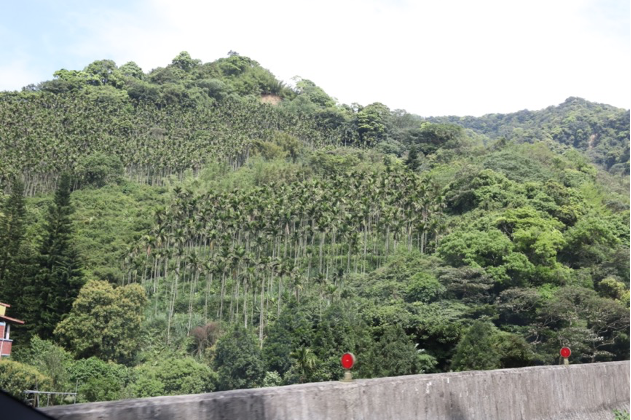 V60出遊 and 原廠下護板安裝心得