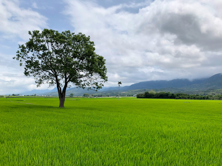 2021 一個人的環島之旅