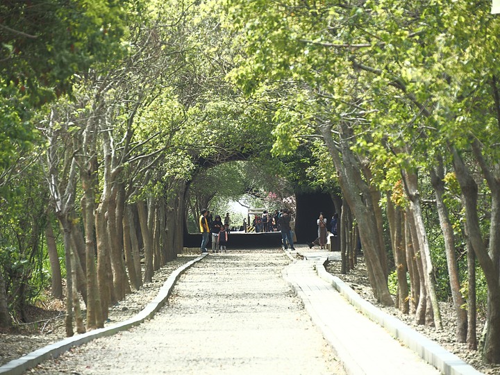 苗栗 竹南 崎頂隧道文化公園|崎頂一、二號隧道 — 曾經的火車隧道,洞中有洞的驚奇,老少咸宜的散步空間