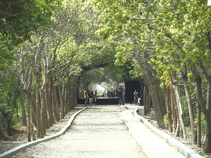 苗栗 竹南 崎頂隧道文化公園｜崎頂一、二號隧道 — 曾經的火車隧道，洞中有洞的驚奇，老少咸宜的散步空間