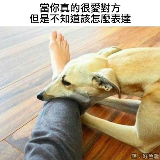 兩性趣圖 🐻🐻