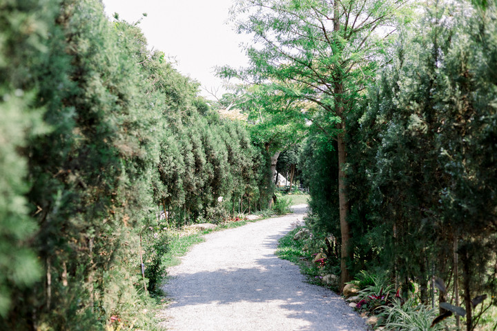 點我看大圖 Canon RF 50mm f/1.8 使用分享