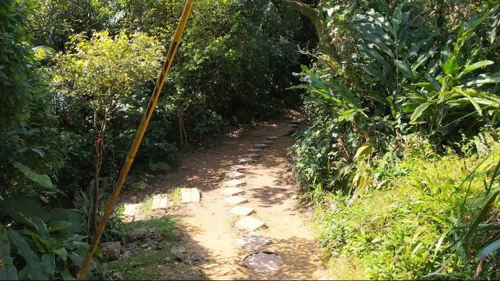 [樂山童盟] [新北中和] 外挖子山-南勢角山-烘爐地南山福德宮