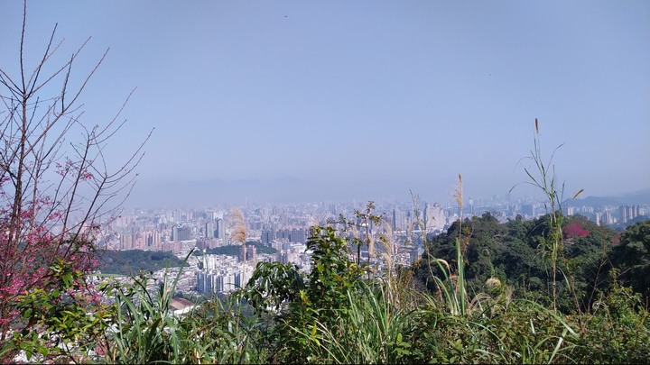 [樂山童盟] [新北中和] 外挖子山-南勢角山-烘爐地南山福德宮