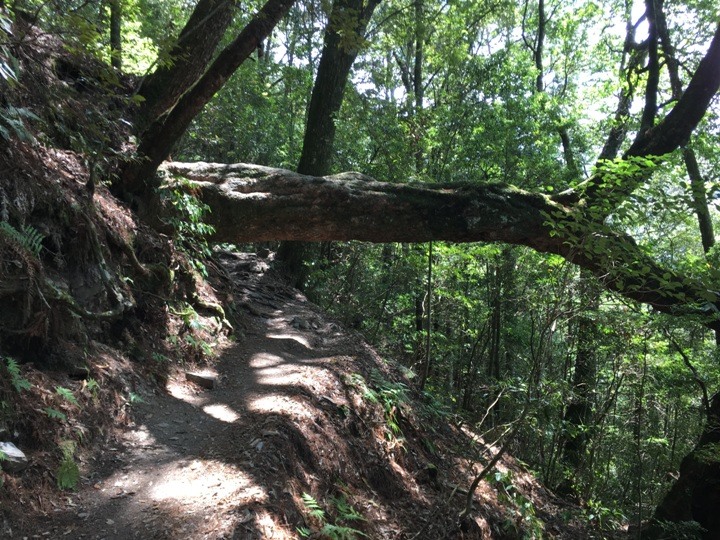 世紀奇峰-大霸群峰之旅