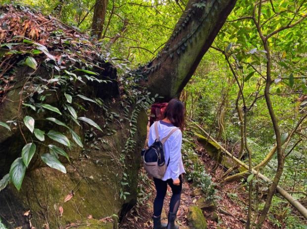 台北士林｜天母古道-翠峰瀑布．水管古蹟跟猴子瀑布，親民步道