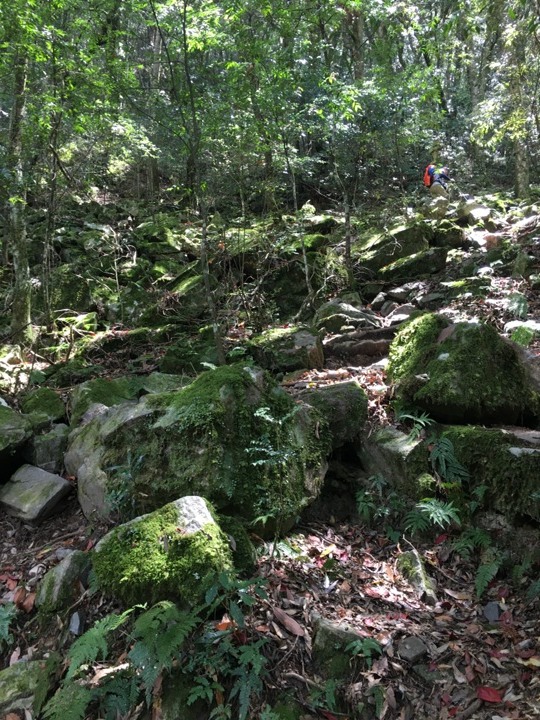 世紀奇峰-大霸群峰之旅