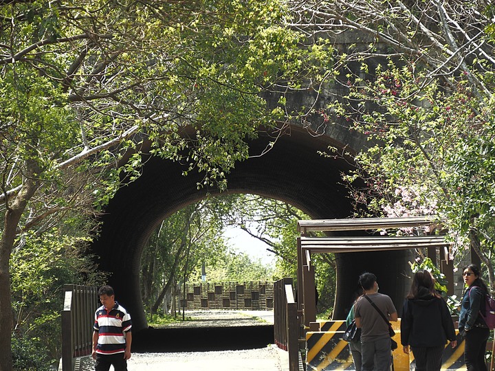 苗栗 竹南 崎頂隧道文化公園｜崎頂一、二號隧道 — 曾經的火車隧道，洞中有洞的驚奇，老少咸宜的散步空間