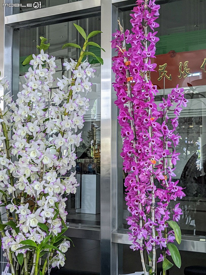 蘭花大展 台南市安平區永華路二段 04/05