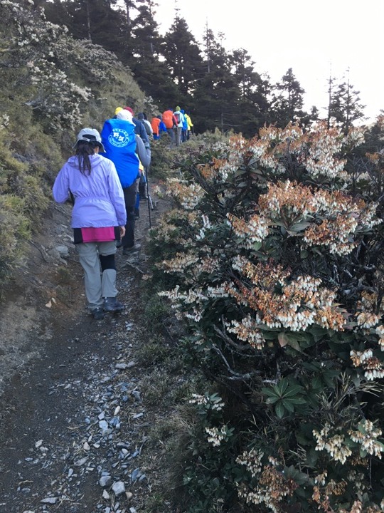 世紀奇峰-大霸群峰之旅