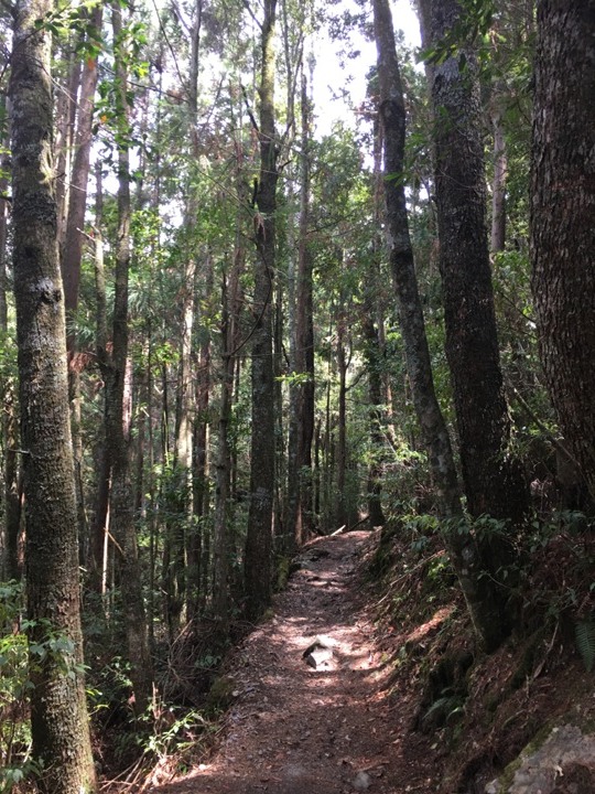 世紀奇峰-大霸群峰之旅