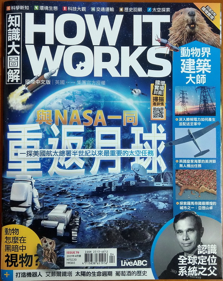 點我看大圖 Z7II高雄汕尾天空之鏡上的斑尾鷸,真是美極了。