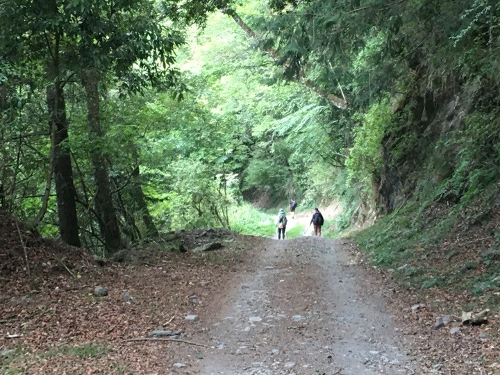 世紀奇峰-大霸群峰之旅