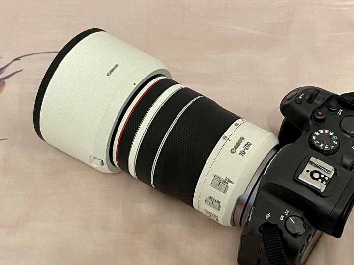 LIFE+GUARD VS RF 70-200 F4
