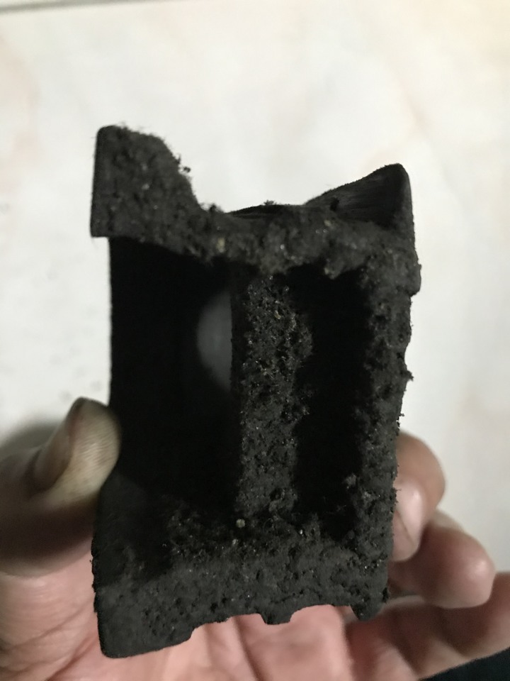 連假天天進出太平山+路考x2