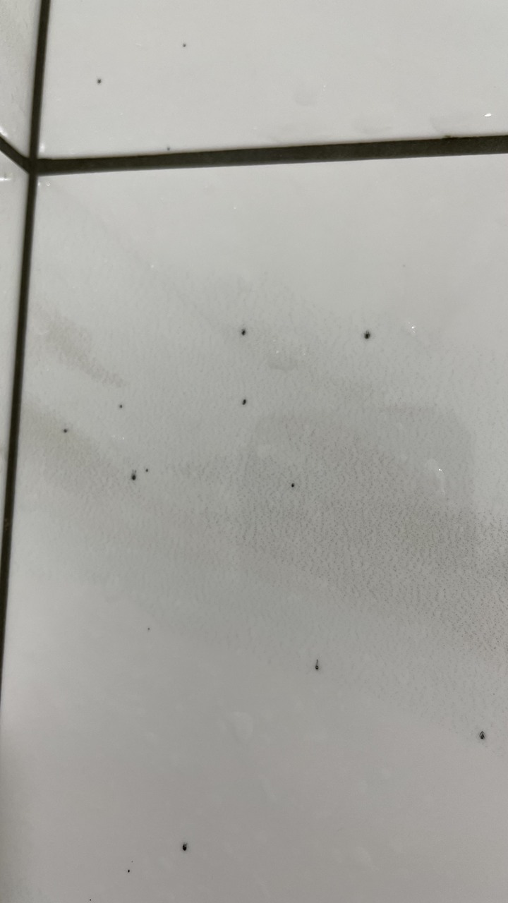 請問磁磚表面有黑點就是壁癌嗎？？(內有附圖)