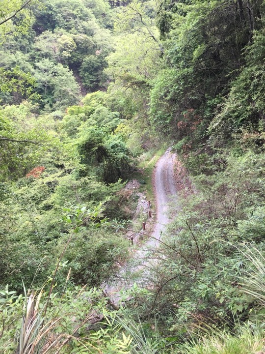 世紀奇峰-大霸群峰之旅