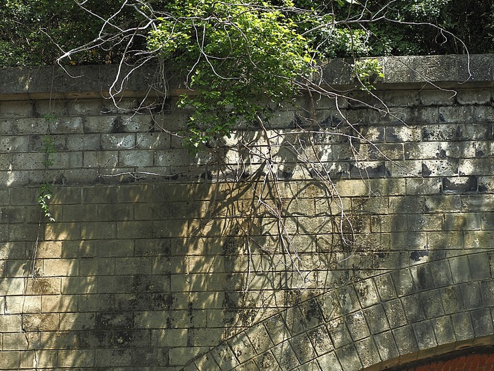 苗栗 竹南 崎頂隧道文化公園|崎頂一、二號隧道 — 曾經的火車隧道,洞中有洞的驚奇,老少咸宜的散步空間