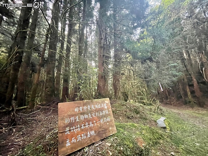 2021.331.403南三段4天3夜生日遊(健腳非1般腳程)謹慎