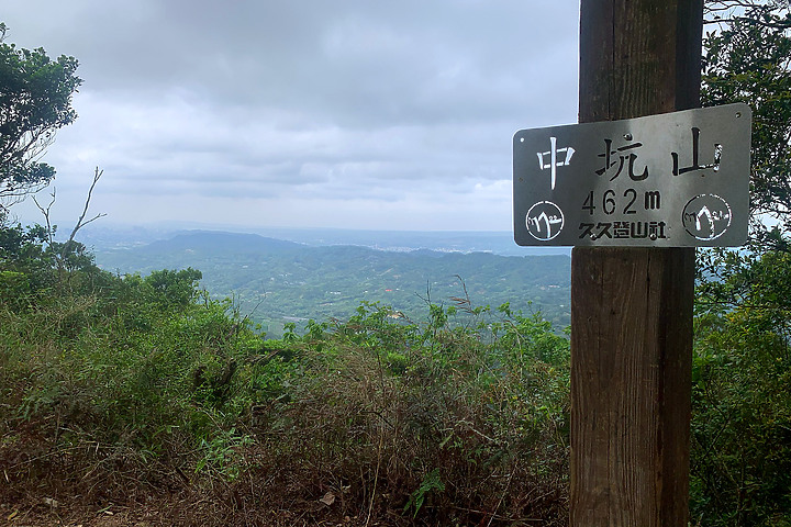 新竹芎林｜飛鳳山．觀日坪步道｜來看板根樹．順便撿個小百岳