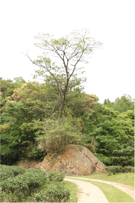 V60出遊 and 原廠下護板安裝心得