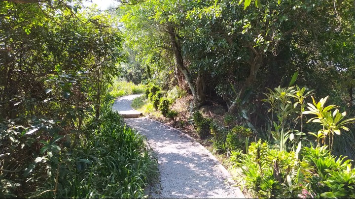[樂山童盟] [新北中和] 外挖子山-南勢角山-烘爐地南山福德宮