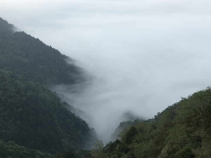 連假天天進出太平山＋路考x2