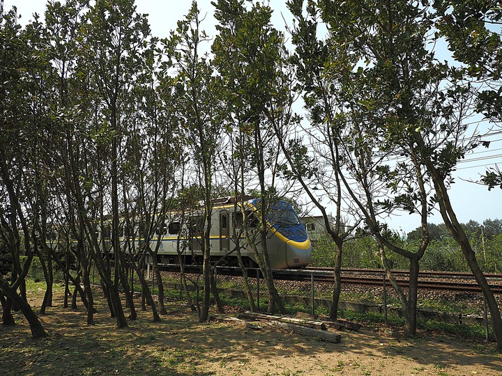 苗栗 竹南 崎頂隧道文化公園｜崎頂一、二號隧道 — 曾經的火車隧道，洞中有洞的驚奇，老少咸宜的散步空間