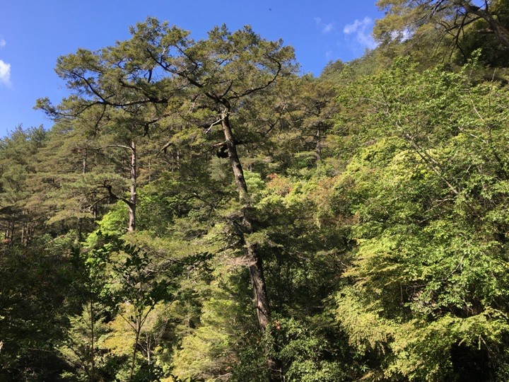 世紀奇峰-大霸群峰之旅