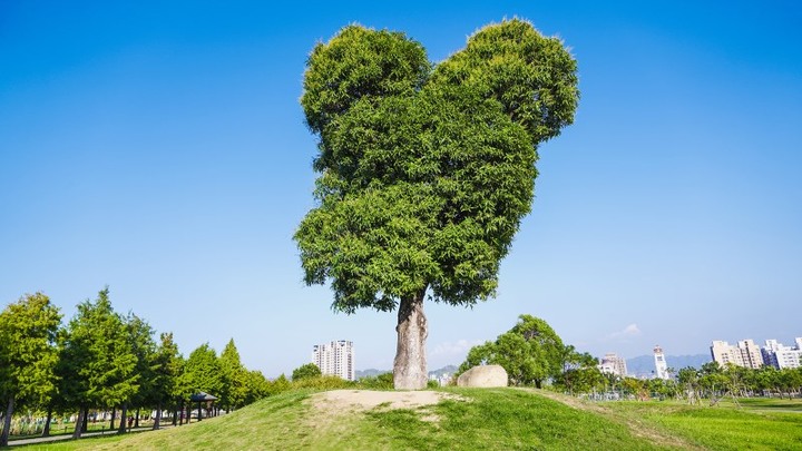台中捷運一日遊規劃，沿線踩點拍照吃美食！