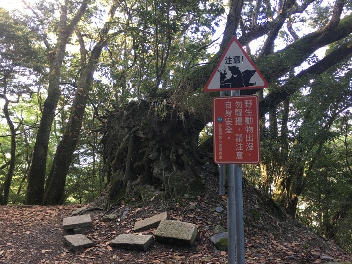 世紀奇峰-大霸群峰之旅