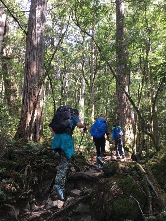 世紀奇峰-大霸群峰之旅