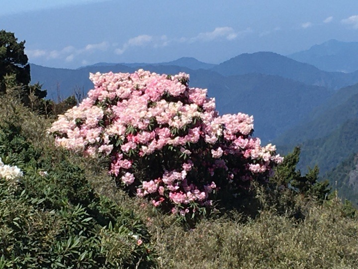 世紀奇峰-大霸群峰之旅