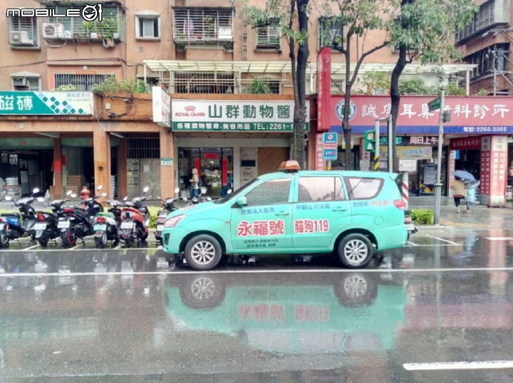 疑似狗狗打群架 照生會貓狗119接獲報案 前往救援受傷的狗狗