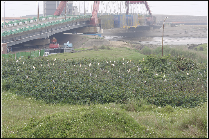 1100402台北→台中（1/2）