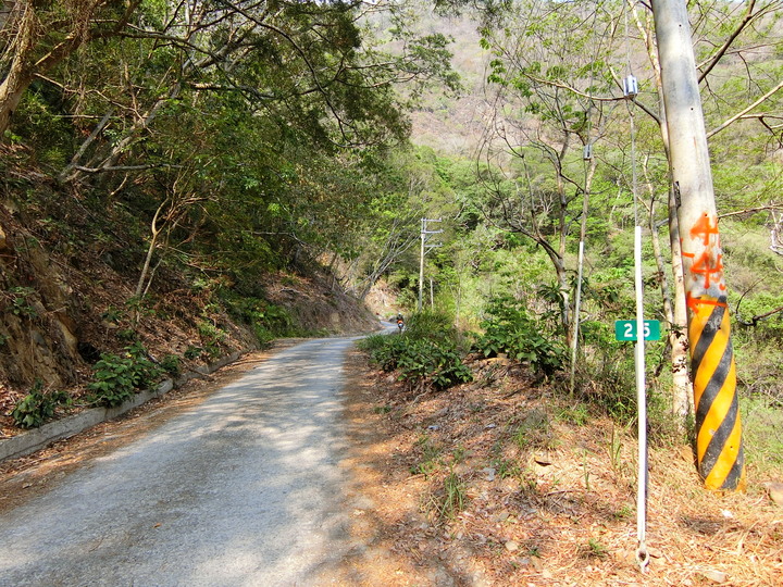 台１６線 丹大林道 沿途吊橋探索！