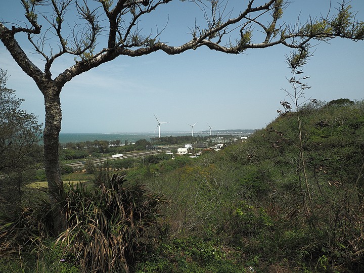 苗栗 竹南 崎頂隧道文化公園｜崎頂一、二號隧道 — 曾經的火車隧道，洞中有洞的驚奇，老少咸宜的散步空間