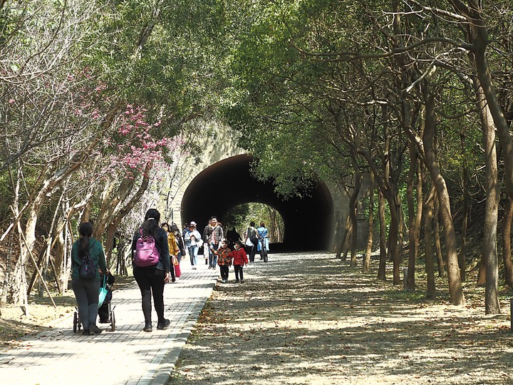 苗栗 竹南 崎頂隧道文化公園|崎頂一、二號隧道 — 曾經的火車隧道,洞中有洞的驚奇,老少咸宜的散步空間