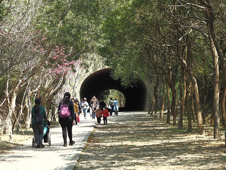 苗栗 竹南 崎頂隧道文化公園｜崎頂一、二號隧道 — 曾經的火車隧道，洞中有洞的驚奇，老少咸宜的散步空間