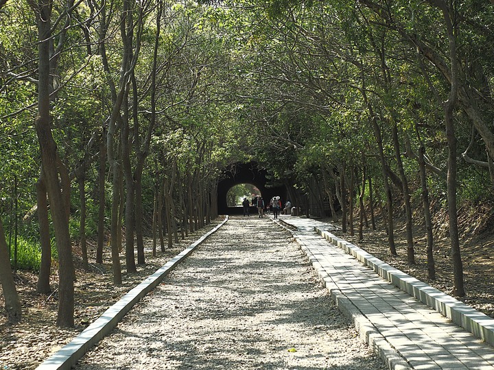 苗栗 竹南 崎頂隧道文化公園｜崎頂一、二號隧道 — 曾經的火車隧道，洞中有洞的驚奇，老少咸宜的散步空間