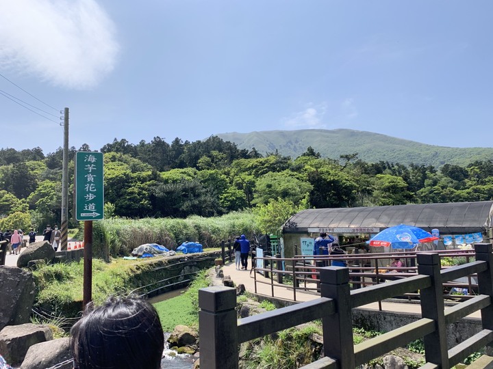 陽明山海芋季＋三芝秘境咖啡廳(內有租irent遭撞處理狀況)