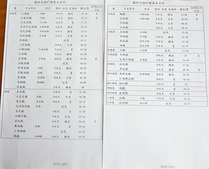 點我看大圖 Z7II高雄汕尾天空之鏡上的斑尾鷸,真是美極了。