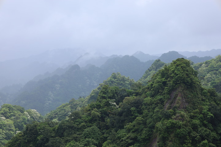 孝子山：享受爬山樂趣，欣賞山型之美