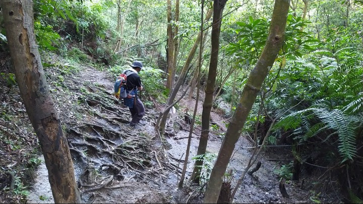 [樂山童盟] [新北汐止] 新山夢湖登山步道