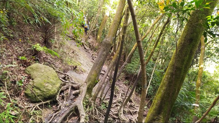 [樂山童盟] [新北汐止] 新山夢湖登山步道