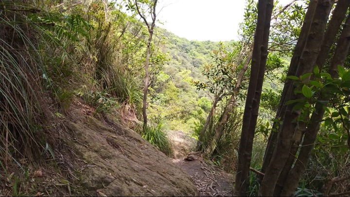 [樂山童盟] [新北汐止] 新山夢湖登山步道