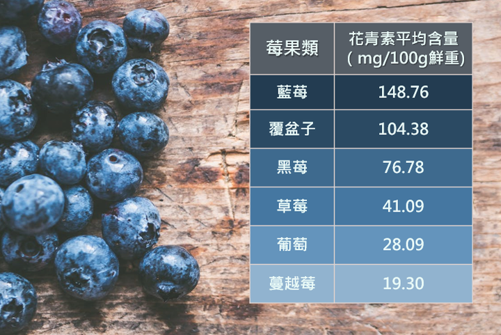 常常忘東忘西嗎？吃它就對了！向金魚腦說再見。（師大體育系心生理學實驗室研究團隊）