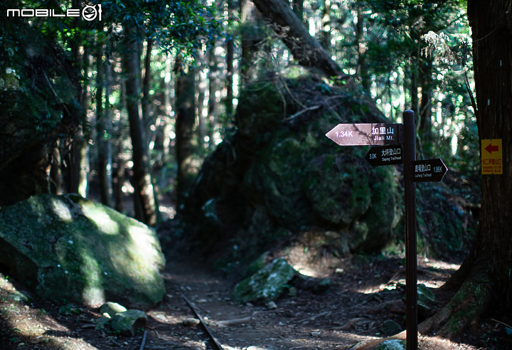 南庄加里山半日行