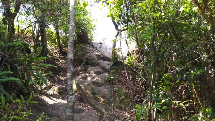 [樂山童盟] [新北汐止] 新山夢湖登山步道